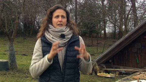 Nedej se! - Učíme se venku?