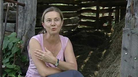 Folklorika - Hledání starých časů