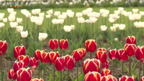 Zprávičky - 5. května 2018