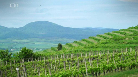 Postřehy odjinud - Slovensko očima Víta Pohanky