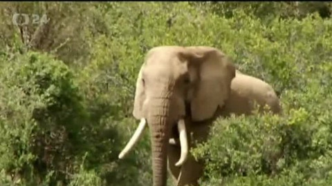 Horizont ČT24 - 2. prosince 2012