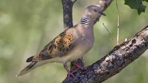 Chcete mě? - 24. března 2019