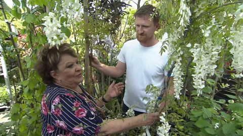 Hobby naší doby - Hobby naší doby - letní speciál