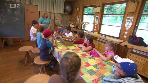 Nedej se! - Lipka, strom života