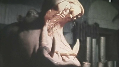 Archiv dne - 18. březen 1981: Hroší dvojčata narozená v pražské ZOO