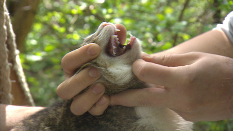 Chcete mě? - 17. května 2015