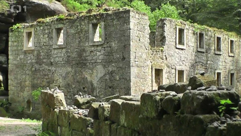 Toulavá kamera - 30. srpna 2015