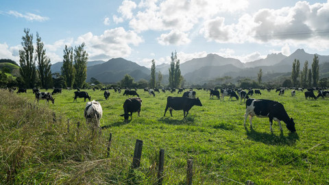 Na cestě - Na cestě po novozélandském Coromandelu