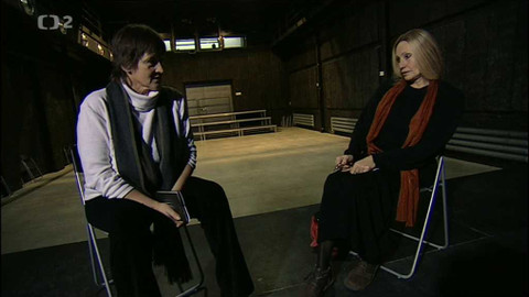 Čtenářský deník... - Alexandra Berková: Temná láska