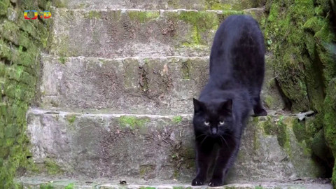 Zprávičky - 20. března 2024