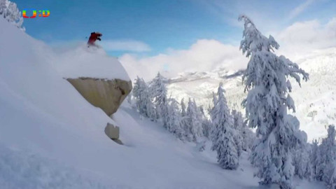 Lvíčata - 25. listopadu 2017