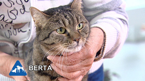 Chcete mě? - Chcete je?