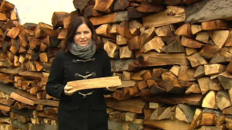 Černé ovce - 10. února 2014