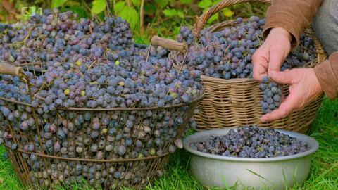 Polopatě - 20. října 2024