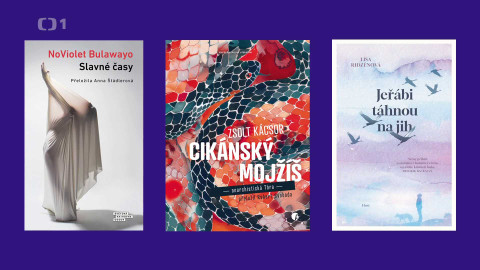 Magnesia Litera - Litera za překladovou knihu