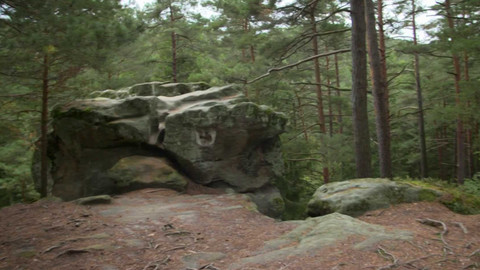 Nedej se! - Rezervace na půl