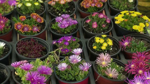 Hobby naší doby - 28. září 2019