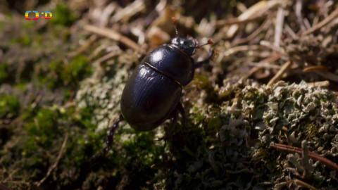 V divočině, tam to žije - Epizoda 8/40