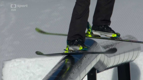 Světový pohár ve freestyle lyžování - Francie