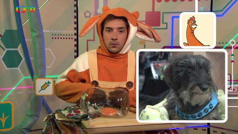 Telefon - 29. září 2017