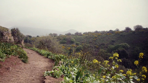 Křížem krážem Izraelem - 5/9 Od Akka po Golany