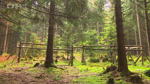 Regiony ČT24 - 1. listopadu