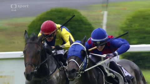 Dostihy - 99. České Derby