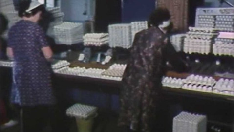 Archiv ČT24 - Jak šlo vejce do světa