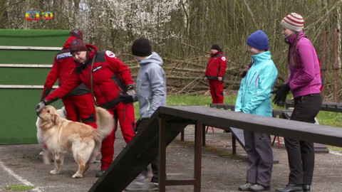 Zachraň se, kdo můžeš! - 11/15 Záchranné brigády kynologů