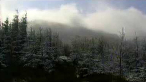 Živé srdce Evropy - Kněhyně