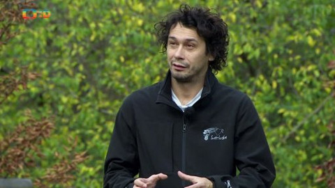 Paličky - Co je „hustý“?