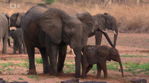 Dobrodružství vědy a techniky - Obnova rezervace