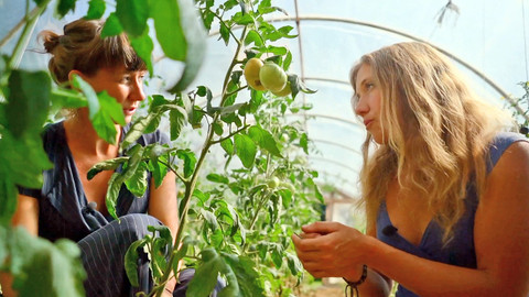 Co naše babičky uměly a na co my jsme zapomněli - Zelenina