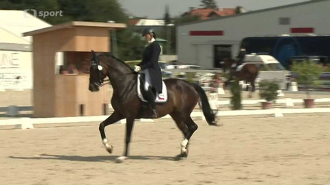 Jezdectví - M ČR v drezuře a v paradrezuře Olomouc