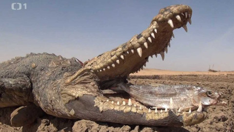 Objektiv - 10. září 2017