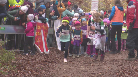 Zprávičky - 11. listopadu 2024