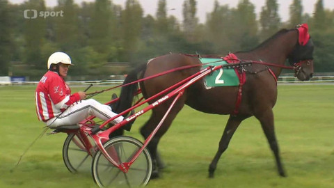 Jezdectví - Středoevropská cena hlavního města Prahy