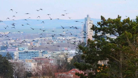 Nedej se! - Lanovka z ptačí perspektivy