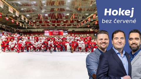 Hokej bez červené - Jaká je úroveň NCAA a v čem na ni může navázat český univerzitní hokej?