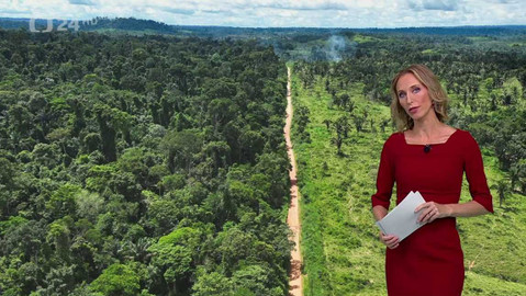 Horizont ČT24 - 8. srpna 2023