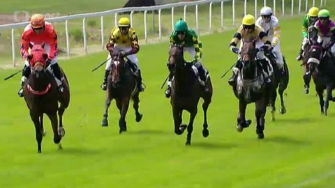 Turf - 28. května 2014