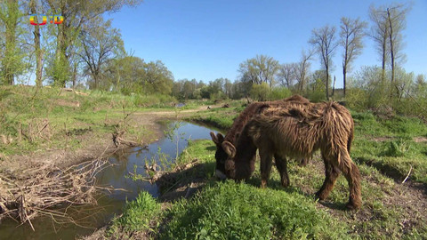 Zprávičky - 25. dubna