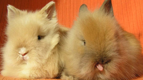 Máte mě! - 1. dubna 2012