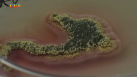 Zprávičky - 9. listopadu 2018