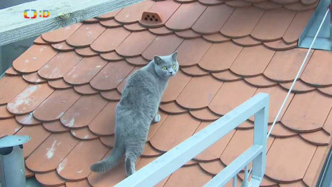 Zprávičky - 19. srpna 2018