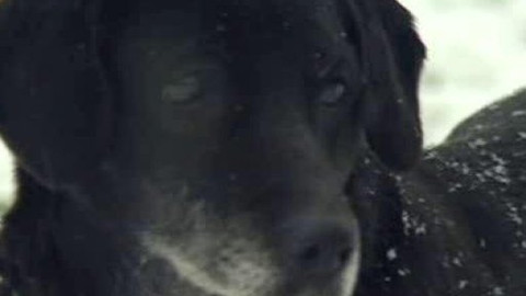 Chcete mě? - Chcete je?