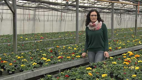 Křesťanský magazín - 2. března 2014