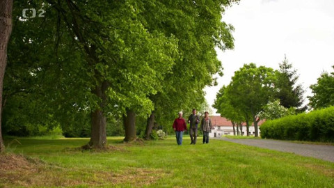 Náš venkov - Příběhy lip