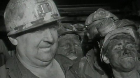 Archiv ČT24 - Černé zlato