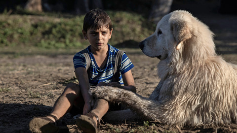 Příběh v dějinách - Epizoda 8/8